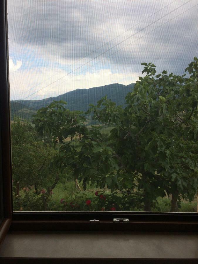 La Casa Nel Verde Castelmezzano Buitenkant foto